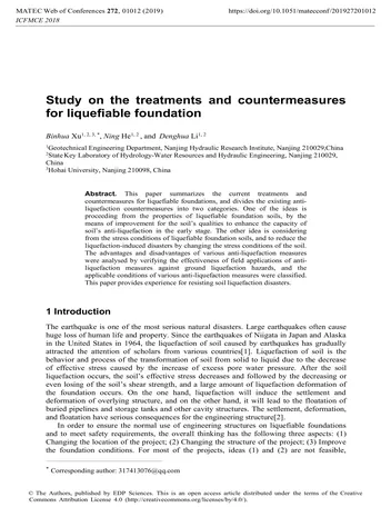 Más sobre Estudio sobre los tratamientos y medidas correctivas para cimientos licuables
